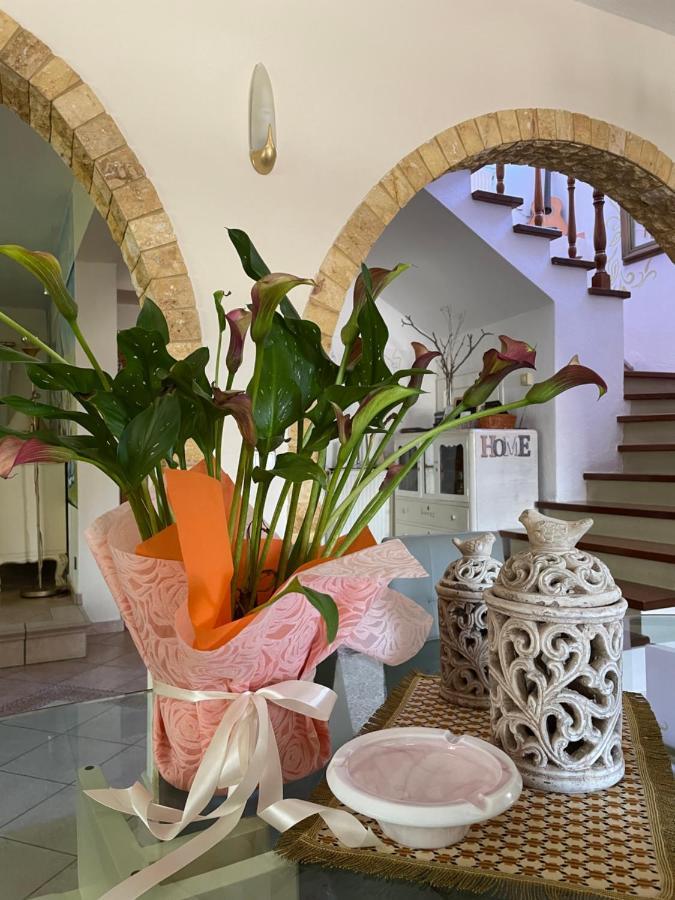 Vintage Home نيكيتي المظهر الخارجي الصورة