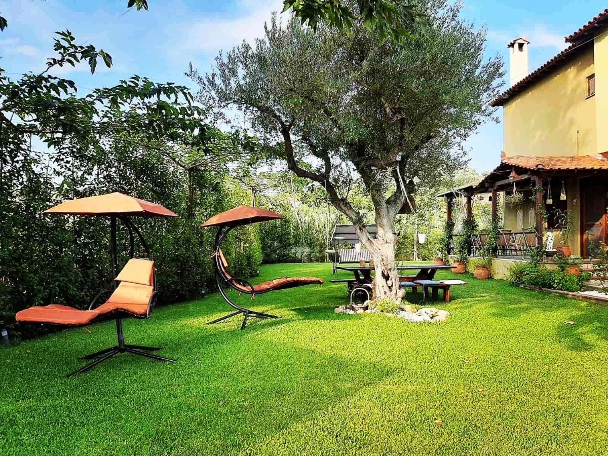 Vintage Home نيكيتي المظهر الخارجي الصورة